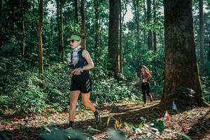 BIB: 
                            <button type="button" onclick="openModal(26129512)" class="btn btn-primary btn-sm float-right btn-popup" data-toggle="modal" data-target=".modal-high-quality">
                        <i class="fas fa-shopping-cart"></i> Add to Cart
                    </button>
                                            <button type="button" onclick="isThisMe(26129512, true)" class="btn btn-success btn-sm float-right btn-popup btn-isme hidden" data-toggle="tooltip" data-placement="bottom" title="นี่คือรูปของคุณใช่ไหม คลิกที่นี่เพื่อเอาเข้าอัลบั้ม">
                        <i class="fas fa-plus"></i> Add to album
                    </button>
                    <button type="button" onclick="isThisMe(26129512, false)" class="btn btn-warning btn-sm float-right btn-popup btn-isnotme hidden">
                        <i class="fas fa-ban"></i> Remove from album
                    </button>